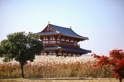 🏞️ 헤이조 궁터 역사공원 (헤이조큐세키 레키시 코엔)